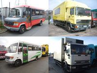 Vans and Buses